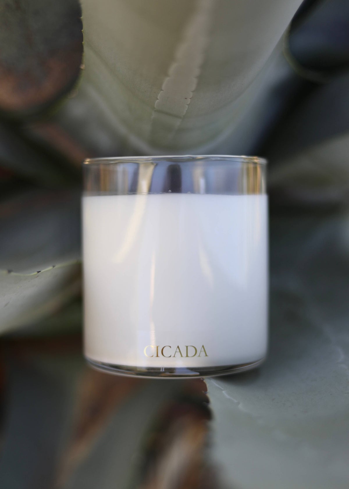 WINTER SOLSTICE Large Candle