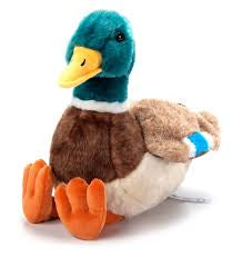 Mallard 12”