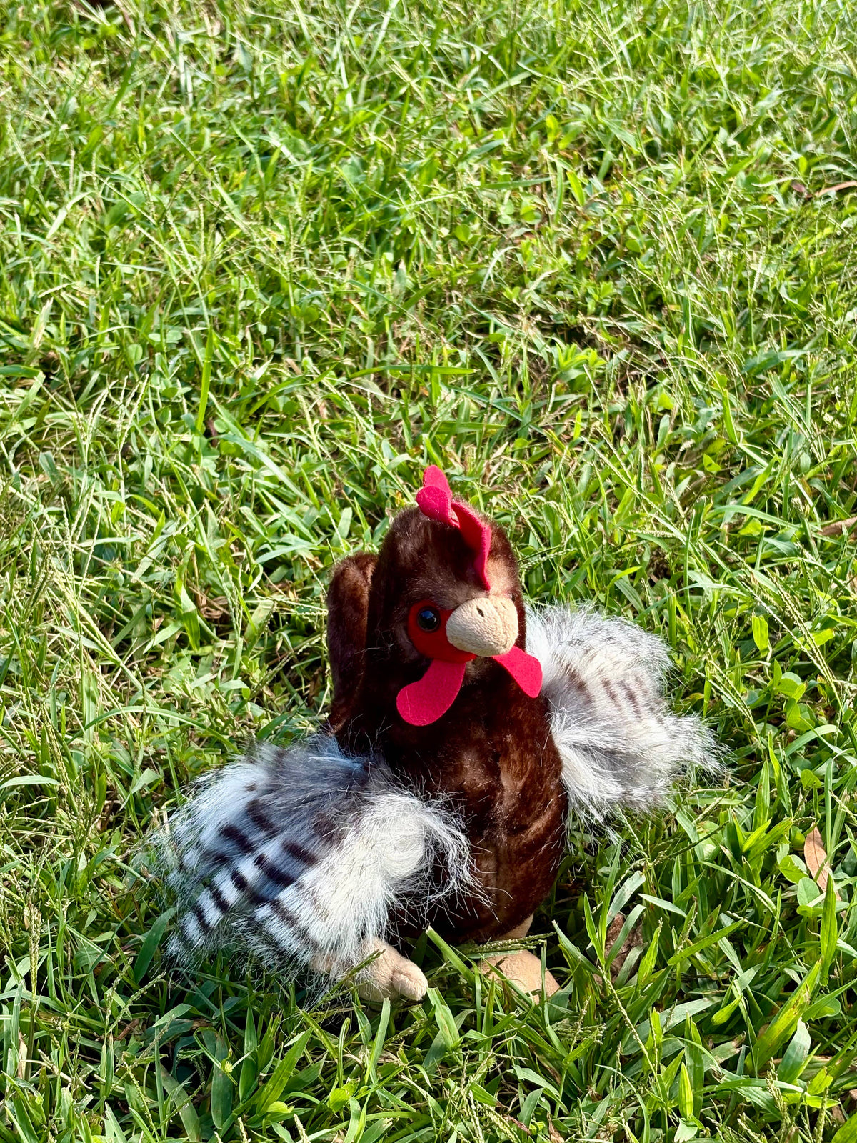 Wild Onez Chicken