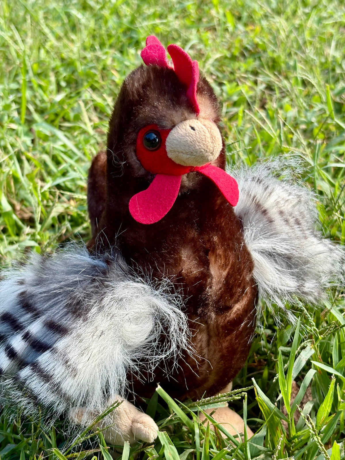 Wild Onez Chicken