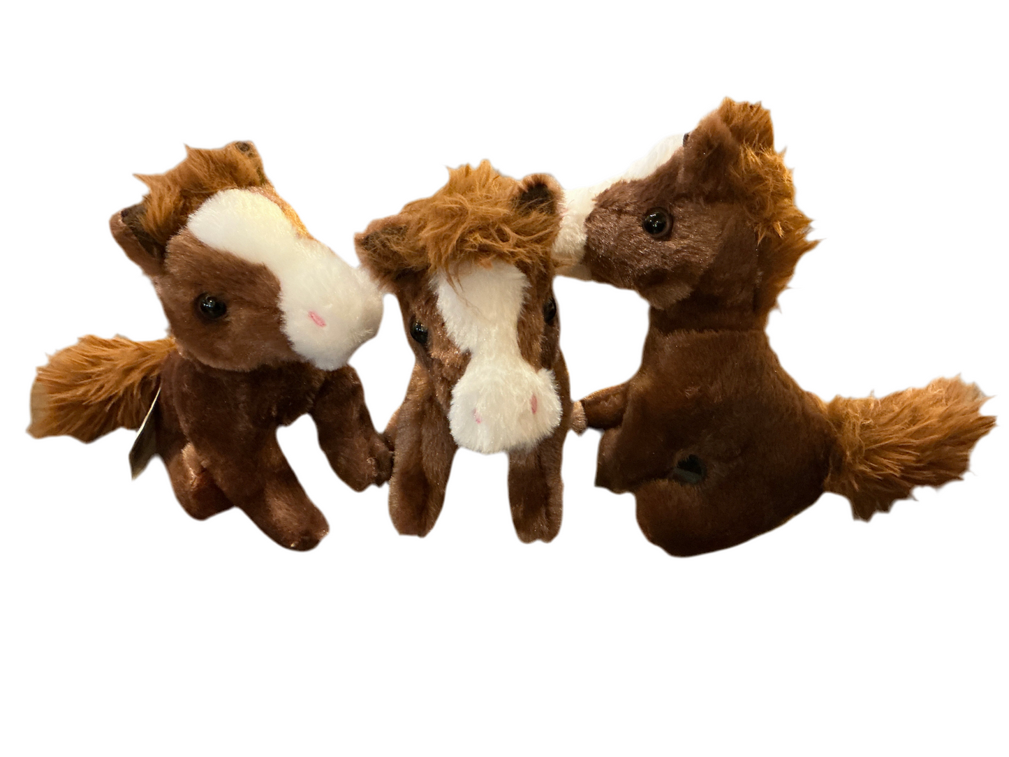 Baby Horse