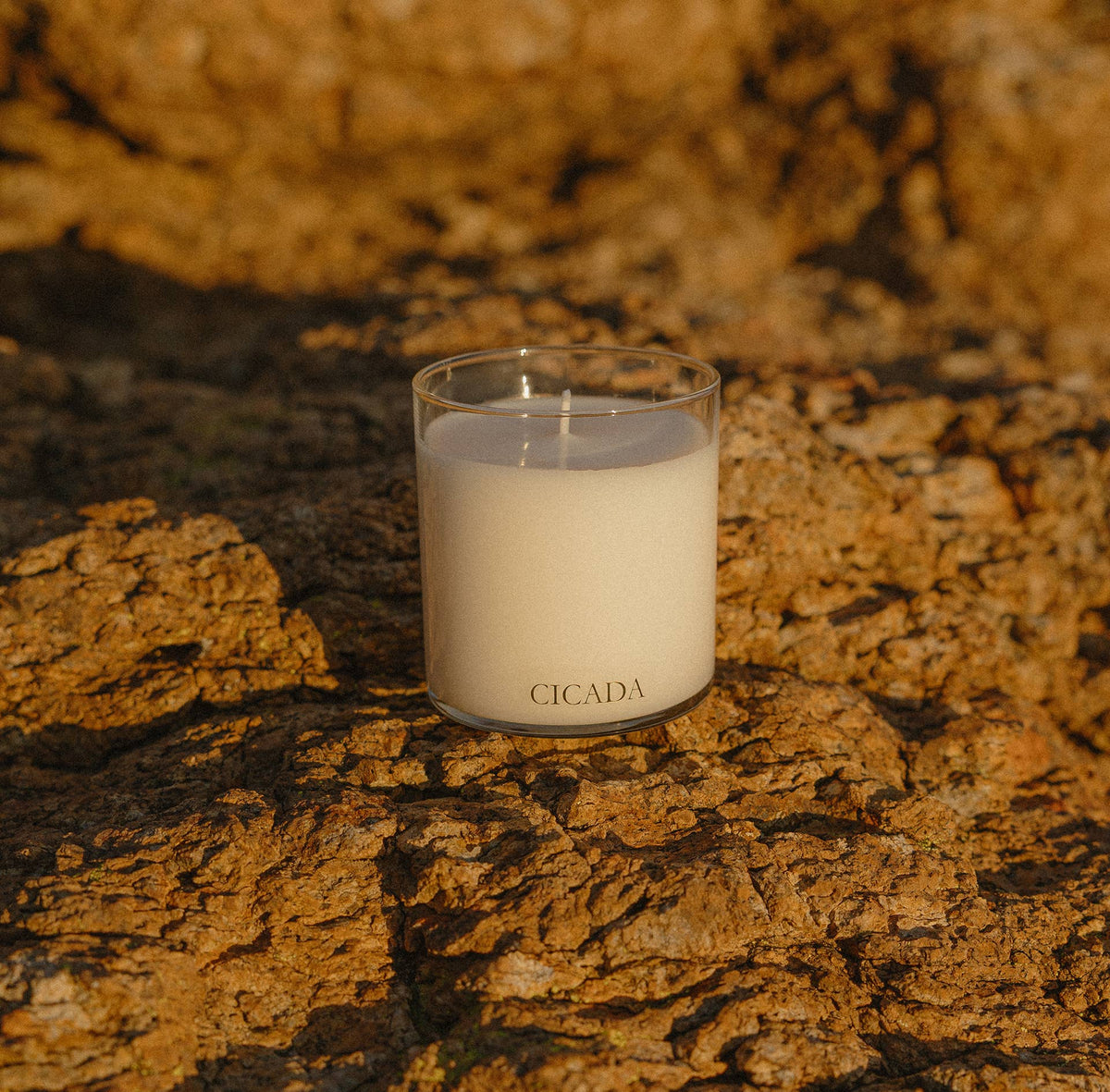 SANTA CATALINA Medium Candle