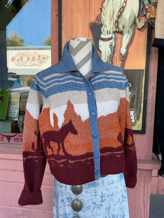 Blue Multi Western Sweater