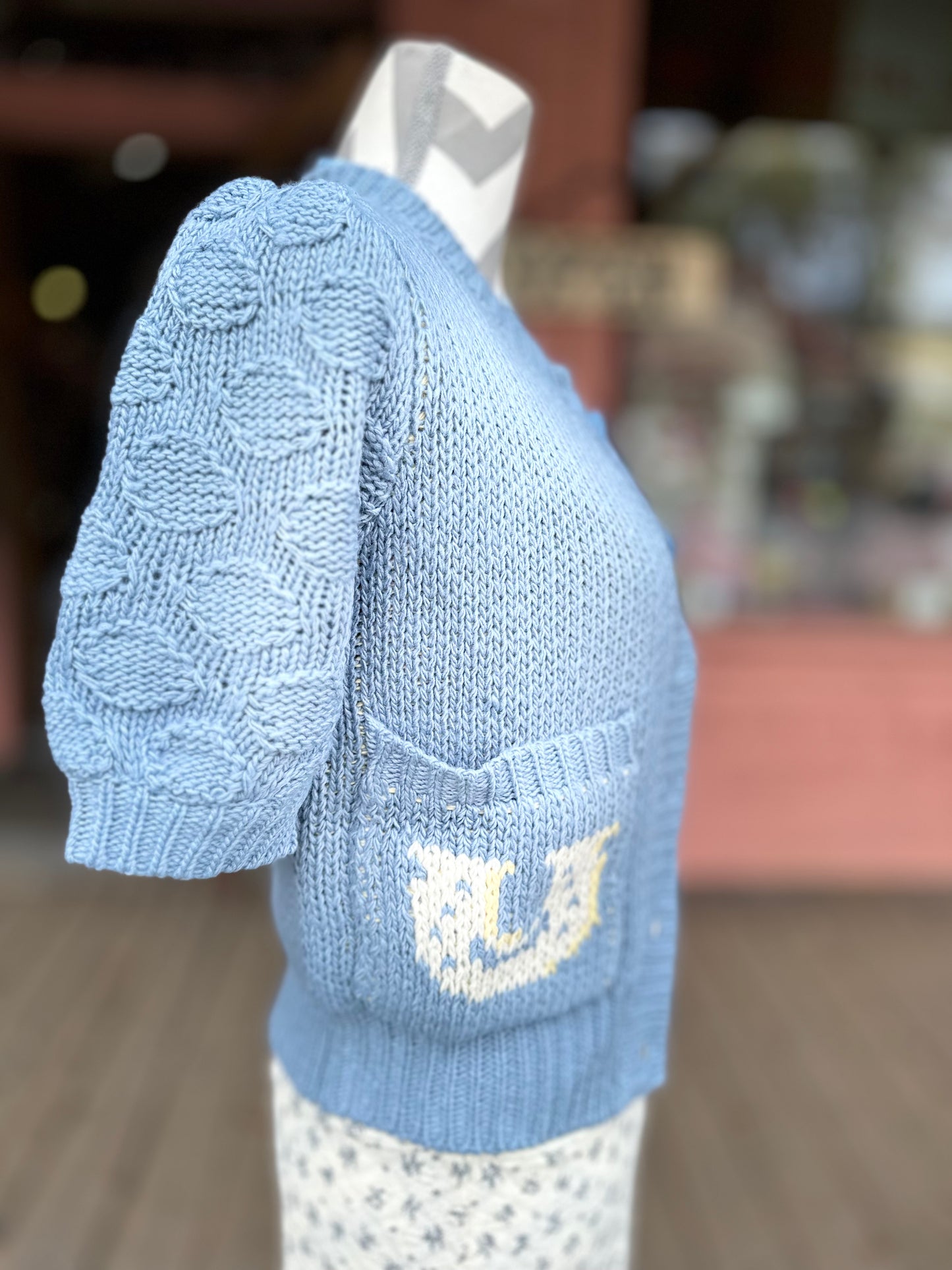 Daisy Blue Pony Cardigan