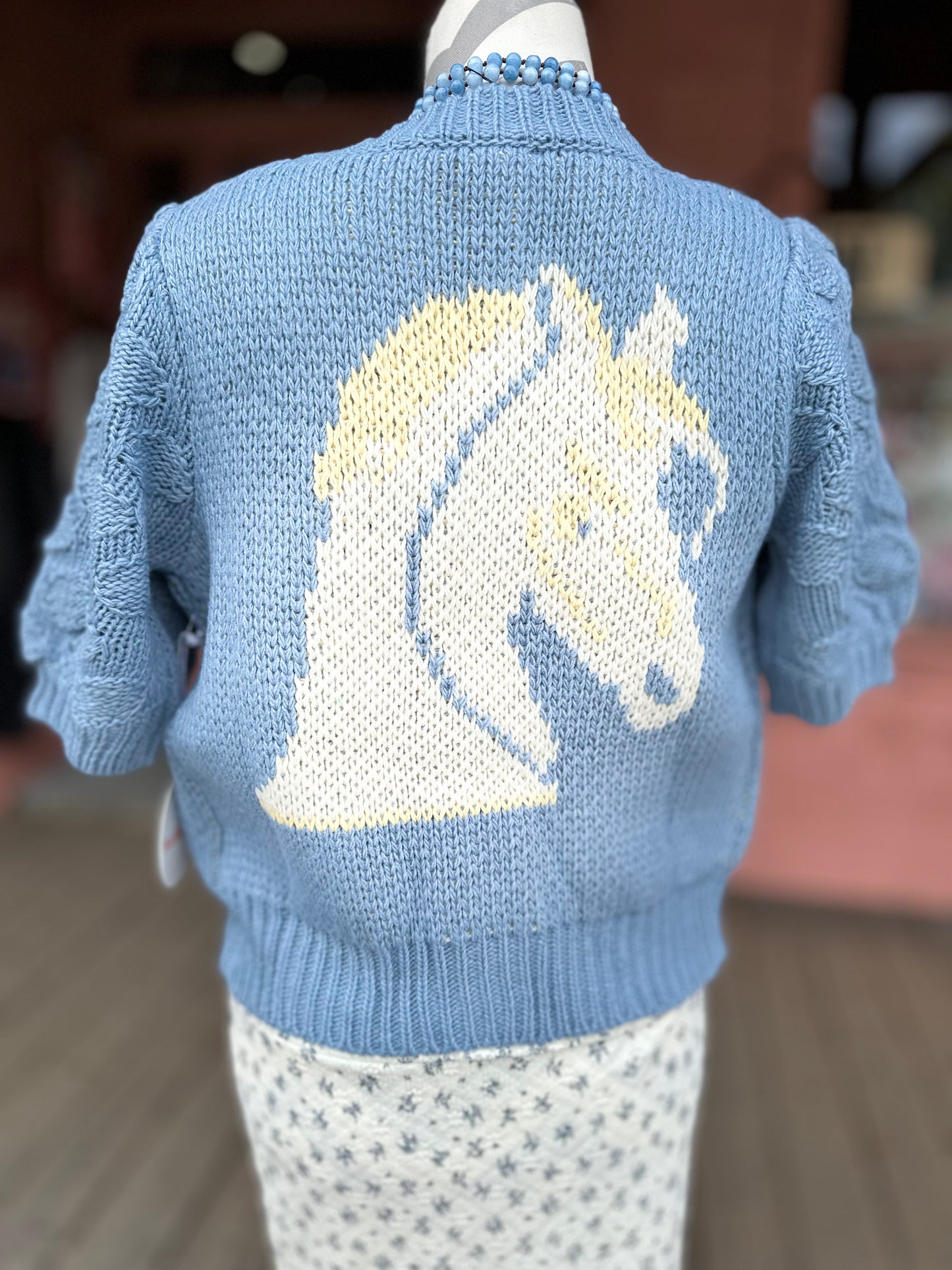 Daisy Blue Pony Cardigan