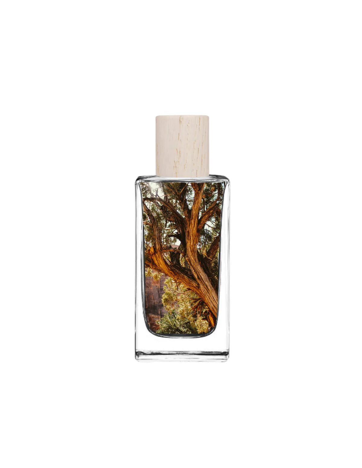 FRIO Fragrances