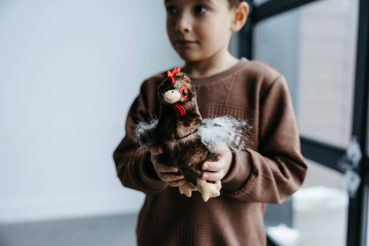 Wild Onez Chicken