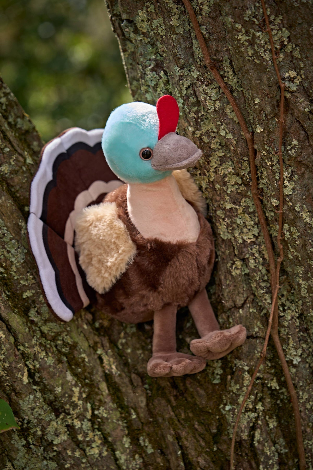 Wild Onez Turkey